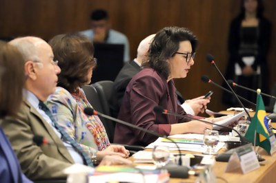 (Foto: Clarice Castro/MDHC)