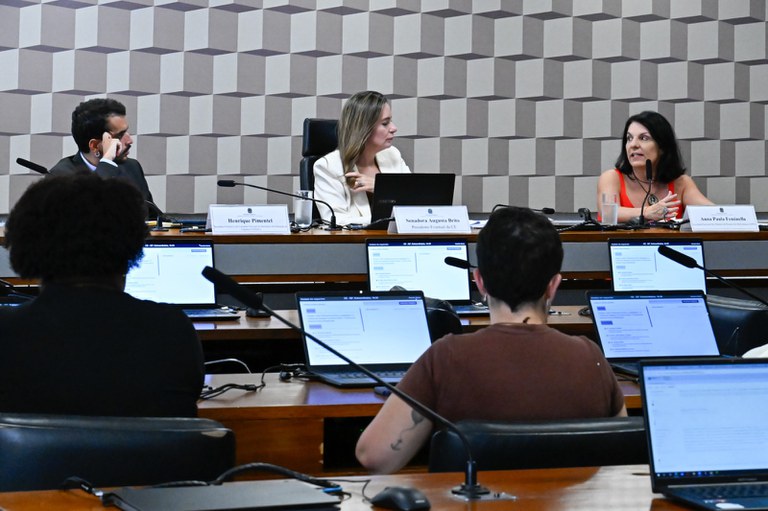 No Senado, MDHC alerta para a falta de acessibilidade nas escolas