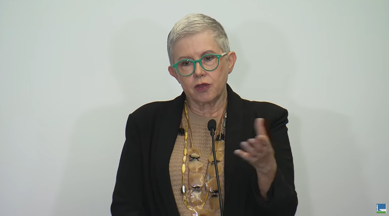 Na Câmara dos Deputados, MDHC debate prioridades legislativas para crianças e adolescentes