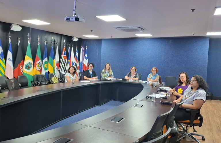 Secretaria Nacional da Criança e do Adolescente debate ações integradas para erradicar o trabalho infantil