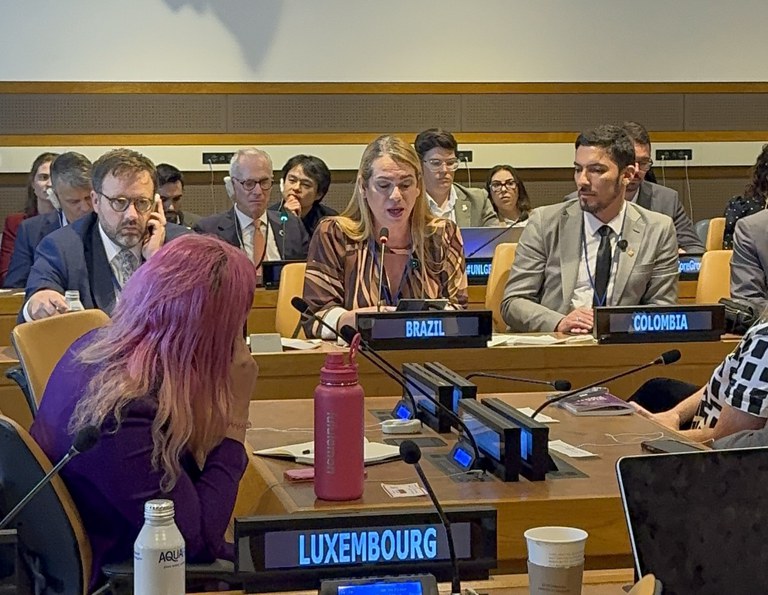 Brasil reforça compromisso internacional com os direitos LGBTQIA+ em evento da ONU em Nova York