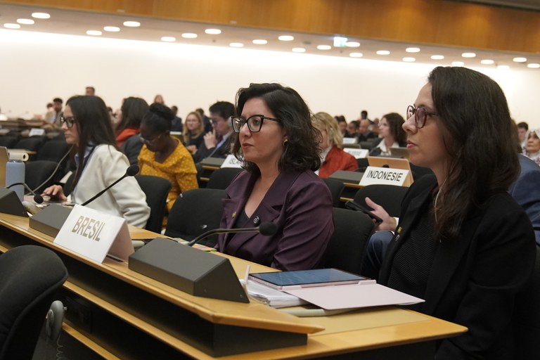 Em reunião da ONU em Genebra, MDHC apresenta avanços em justiça de transição e direitos humanos