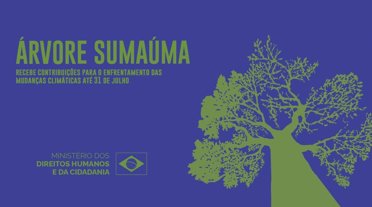 Árvore Sumaúma recebe contribuições para o enfrentamento das mudanças climáticas até 31 de julho