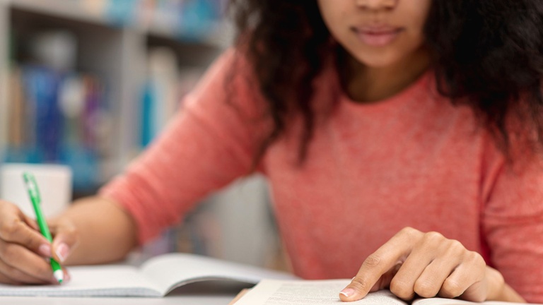 Regimento Interno do Comitê Nacional de Educação e Cultura em Direitos Humanos é aprovado