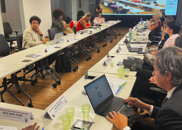 Reunião do Comitê Nacional de Prevenção e Combate à Tortura destaca fortalecimento de mecanismos estaduais