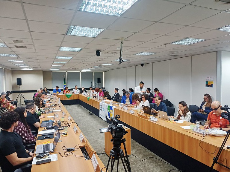 Conanda debate ações em defesa dos direitos das crianças e adolescentes em sua 347ª Assembleia Ordinária