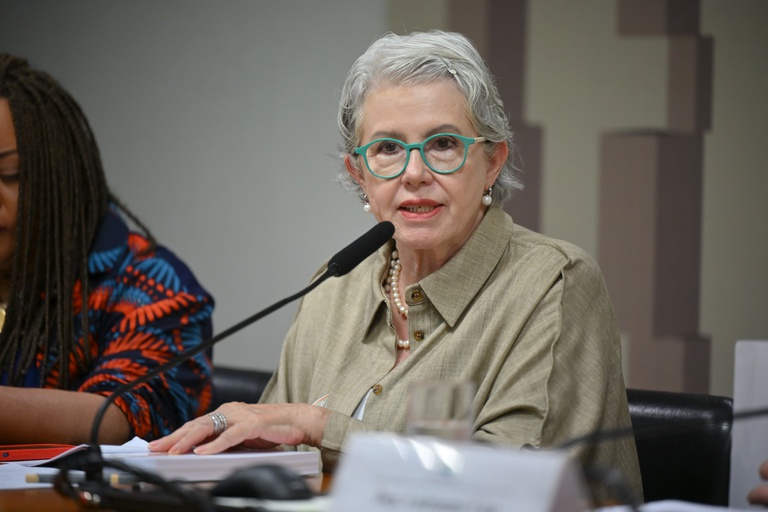 No Senado, MDHC ressalta o papel da conscientização no enfrentamento a violações cometidas contra crianças e adolescentes