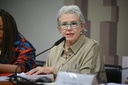 No Senado, MDHC ressalta o papel da conscientização no enfrentamento a violações cometidas contra crianças e adolescentes