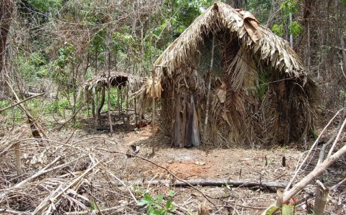 Criação do Parque Nacional dos Povos Indígenas de Tanaru avança após consulta pública em Rondônia