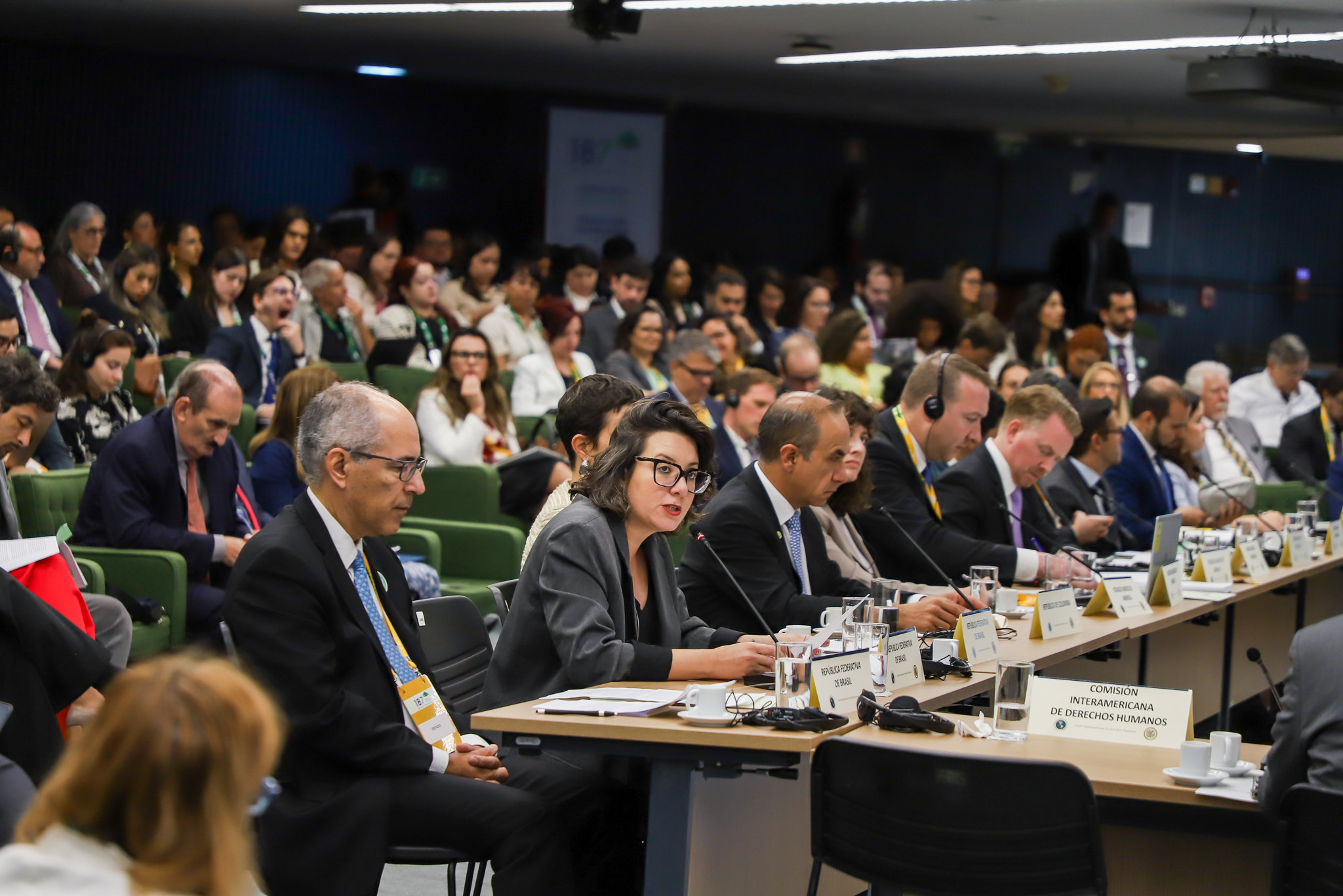 Representado pela secretária-executiva Janine Mello, ministério destacou políticas públicas, participação social e combate às desigualdades como pilares da democracia