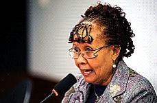 Janete Pietá: é preciso avaliar se o poder público está sendo omisso no tratamento do tema.