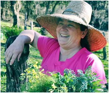 Conselheira Lorena Kuster Neves Monteiro Foto: MMC