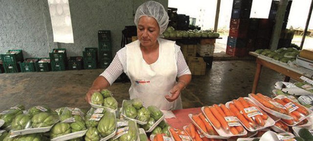 Iniciativa deve atender a aproximadamente 200 cooperativas e associações / Foto: Ascom/Incra