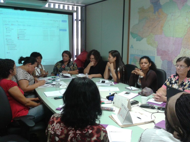 Integrantes do Comitê debateram contribuições da 2ª Conferência Nacional de Desenvolvimento Rural Sustentável e Solidário Foto: Divulgação/SPM