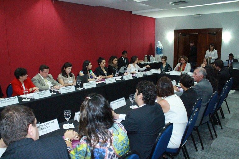 A secretária de Enfrentamento à Violência contra as Mulheres da SPM, Aparecida Gonçalves, discursa na reunião com representantes das secretarias estaduais de Segurança Pública. Foto: Raquel Lasalvia/SPM