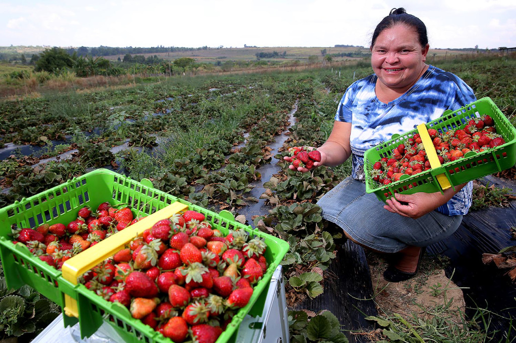 15 10 mulheres que utilizam financiamento agrícola.jpg
