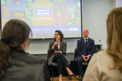 Em missão oficial na ONU, ministra Janine Mello se reúne com brasileiros migrantes nos Estados Unidos