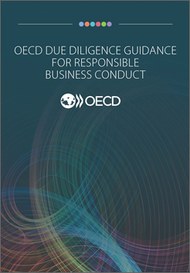 Duediligenceguidancecover.jpg