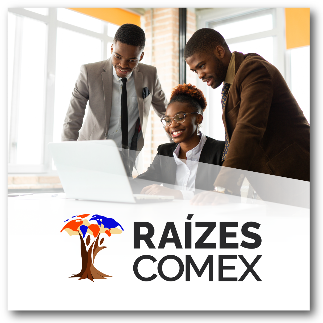 Caixinha Raízes Comex - site CGPE-12.png