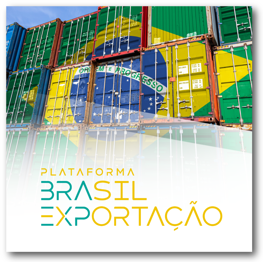 Caixinha Brasil Exportação - site CGPE-13.png