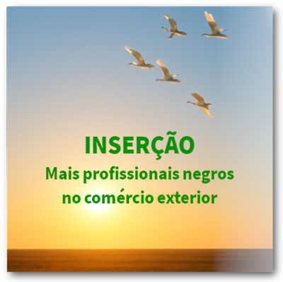 Insercao com escrito.png