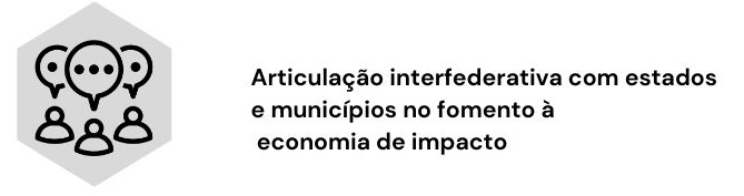 Eixo 5: Articulação Interfederativa com Estados e Municípios no fomento à economia de impacto