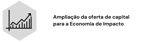 Eixo 1: Ampliação da oferta de capital para a economia de impacto