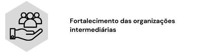 Eixo 3: Fortalecimento das Organizações Intermediárias