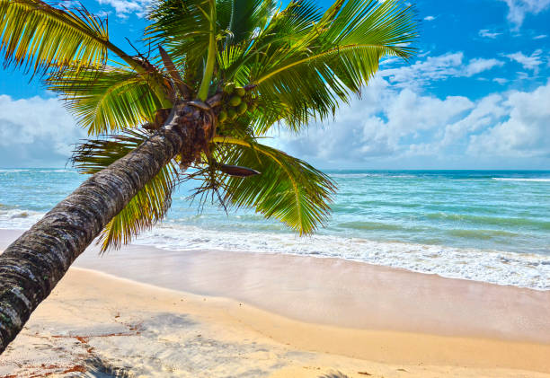 PORTAL DE INVESTIMENTOS - Ministério do Turismo