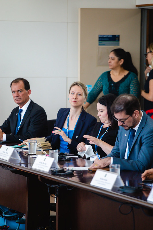 Brasil e Finlândia - 6.jpg