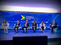 Metade do fluxo de de investimento no Brasil é de energia renovável, diz secretária da Camex