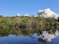 Presidente Lula institui Programa Selo Amazônia em decreto publicado em DOU