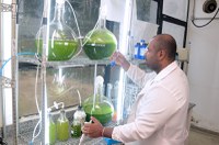 CBA disponibiliza portfólio de projetos aptos a receber investimentos da Lei de PD&I