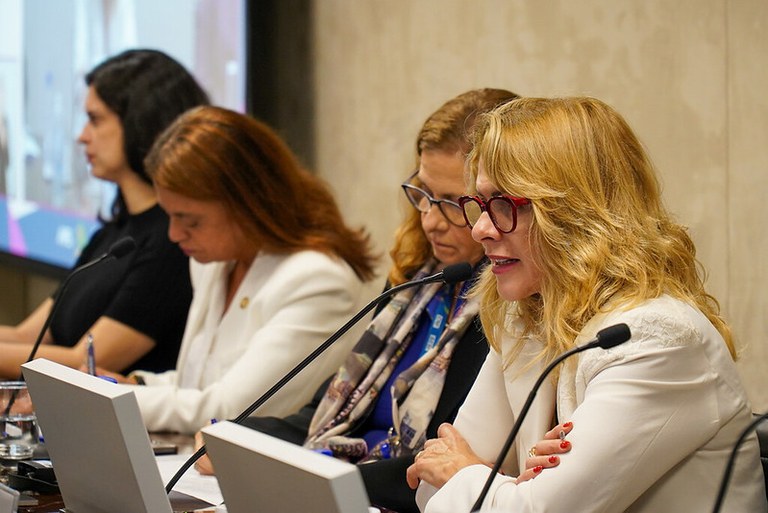 Fortalecer a interação entre indústria, governo e academia é fundamental para o desenvolvimento tecnológico, afirma secretária do MDIC 2