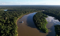 MDIC vai consultar setores produtivos para definir projeto-piloto do Selo Amazônia