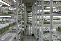 MDIC inicia projeto para mapear bancos de germoplasma e fortalecer indústria de bioinsumos
