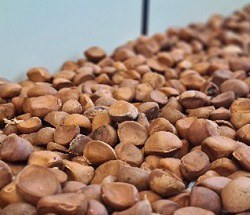 Edital de Chamamento