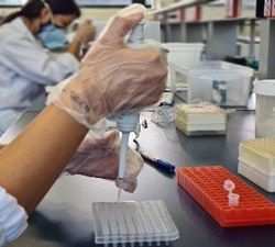 Estudo de Publicização