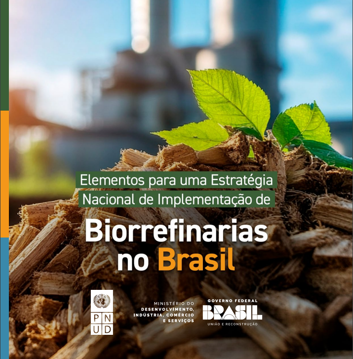 Elementos para uma Estratégia Nacional de Implementação de Biorrefinarias no Brasil