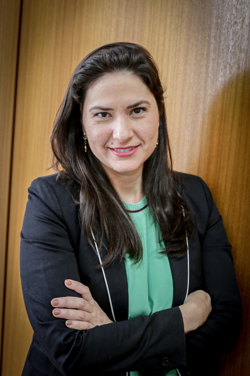 Aline Damasceno Ferreira Schleicher