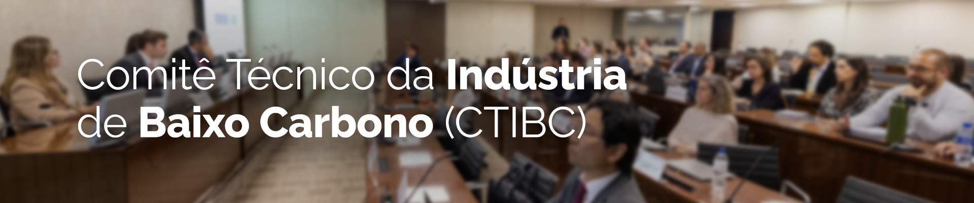 Banner de apoio no início da subseção Comitê Técnico da Indústria de Baixo Carbono (CTIBC) do Departamento de Descarbonização e Finanças Verdes (DCARB).