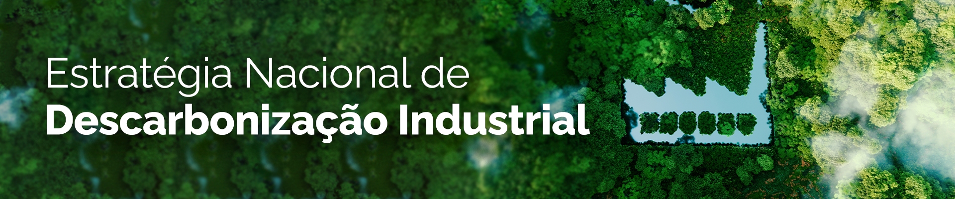 Estratégia Nacional de Descarbonização Industrial (ENDI)