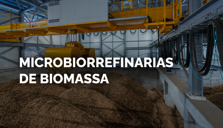 Microbiorrefinarias de Biomassas