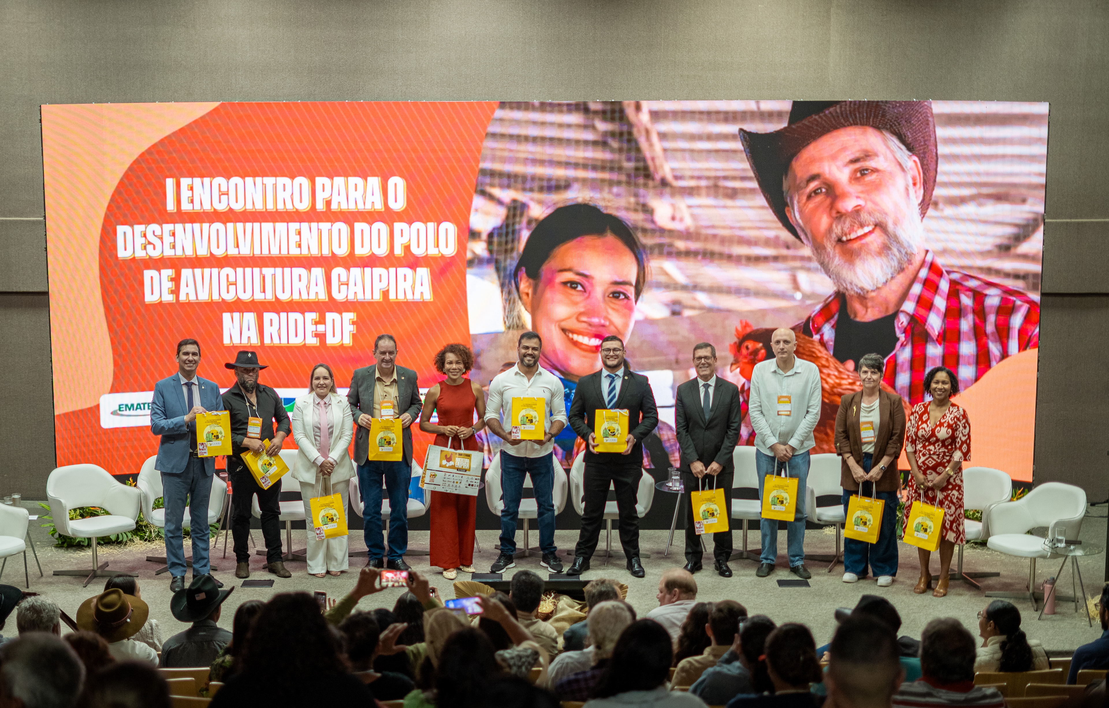 Avicultura caipira avança na RIDE-DF com foco em mercado e renda