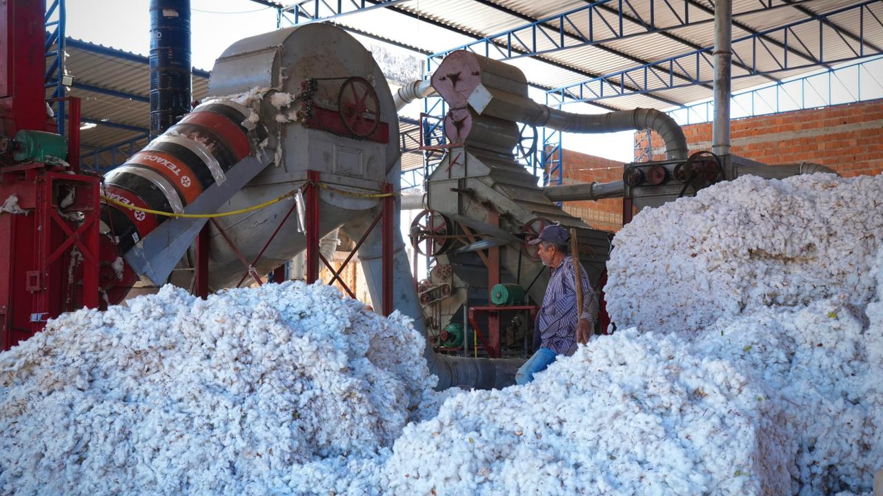 Transnordestina reduzirá custos para produtores do Cariri