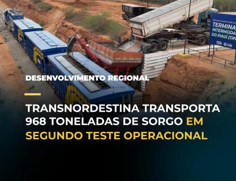 Transnordestina transporta 946 toneladas de sorgo