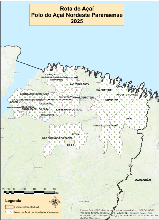 Polo do Açaí Nordeste Paranaense 2025