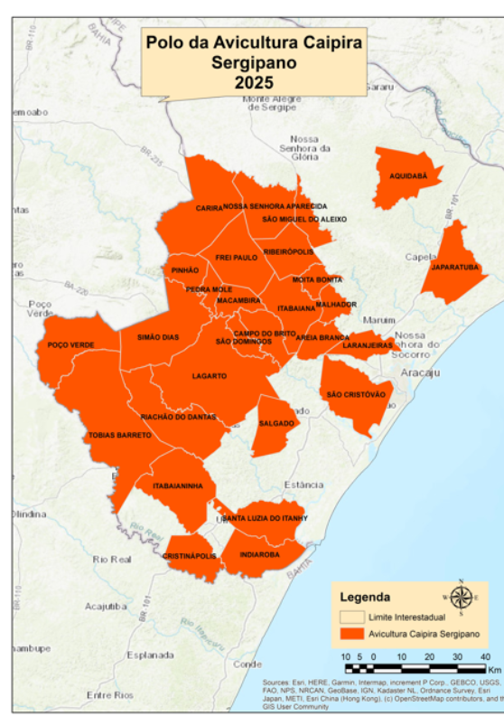 Polo da avicultura Caipira Sergipano 2025