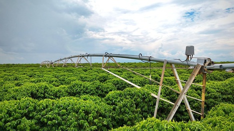 (Foto: Yasmin Fonseca/MIDR)