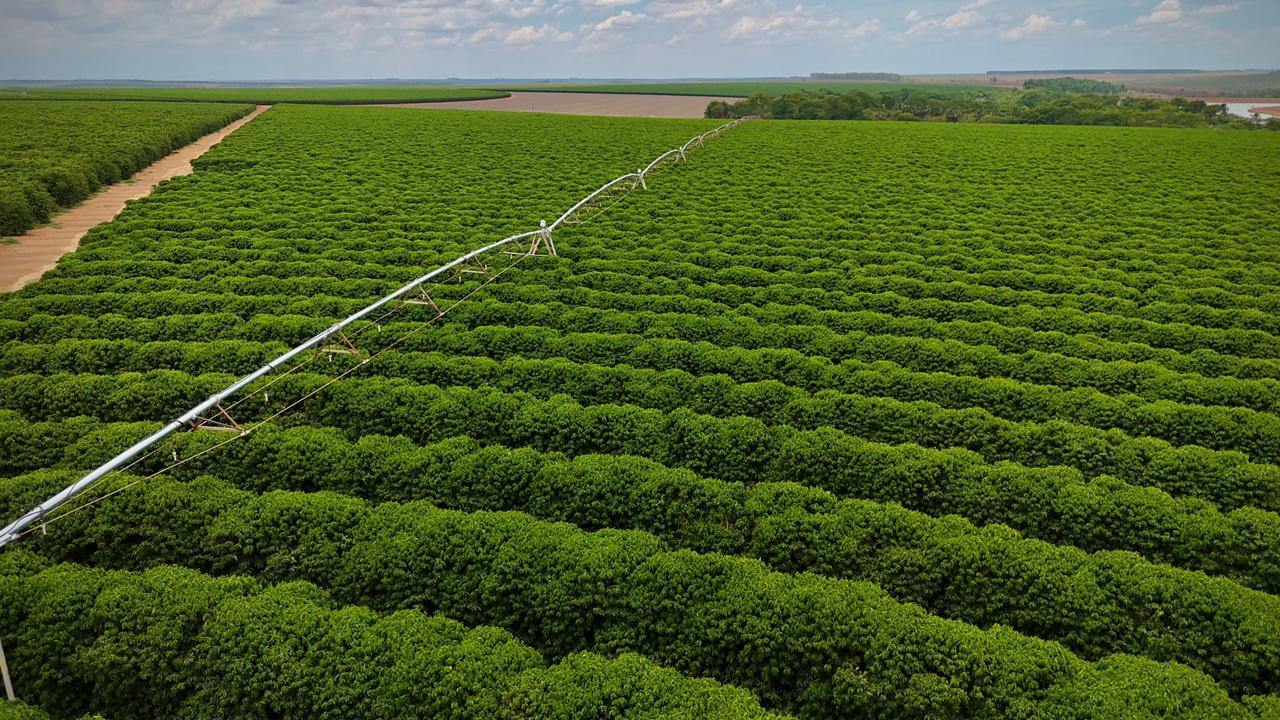 Sistema nacional aprimora manejo da irrigação e uso eficiente da água